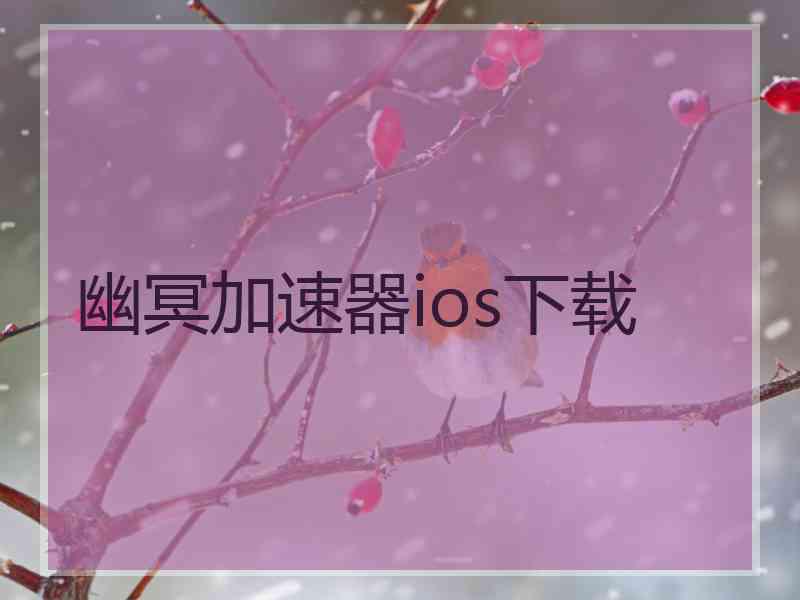 幽冥加速器ios下载