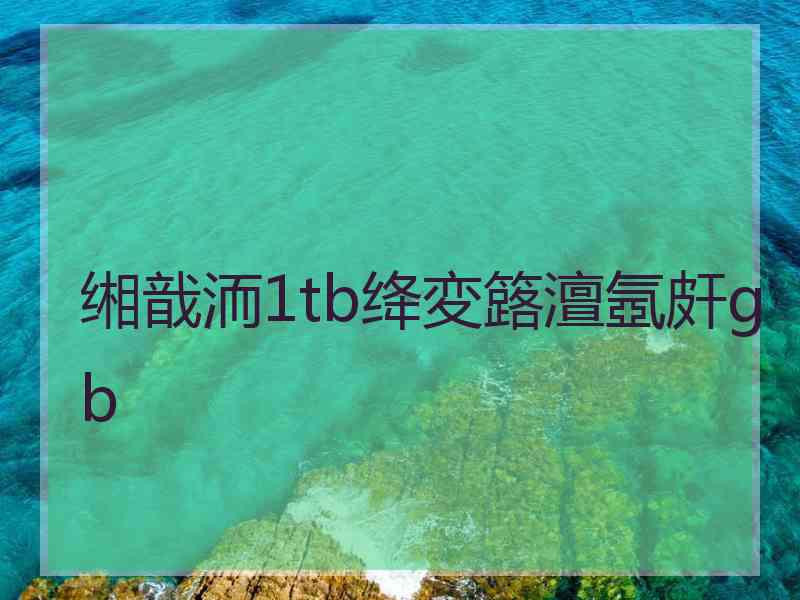 缃戠洏1tb绛変簬澶氬皯gb