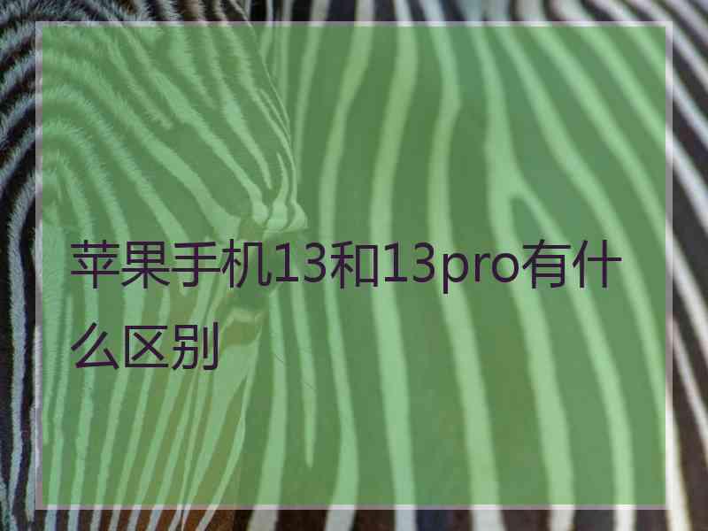 苹果手机13和13pro有什么区别