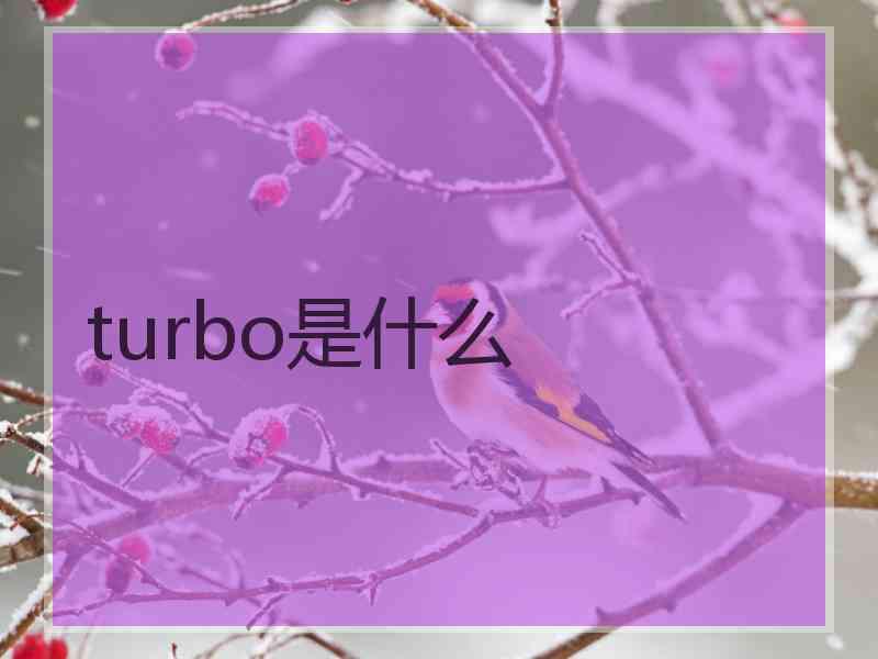 turbo是什么