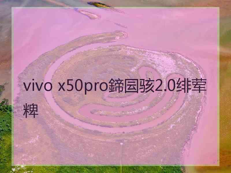 vivo x50pro鍗囩骇2.0绯荤粺