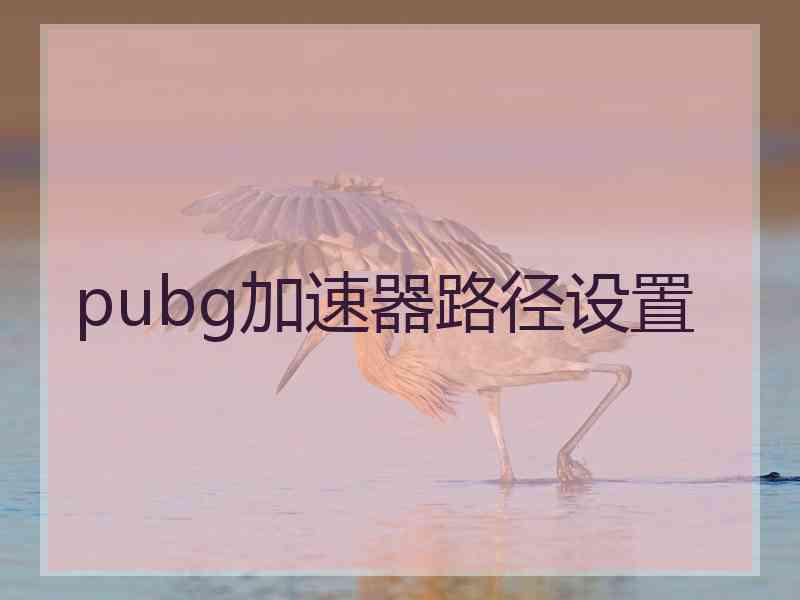 pubg加速器路径设置