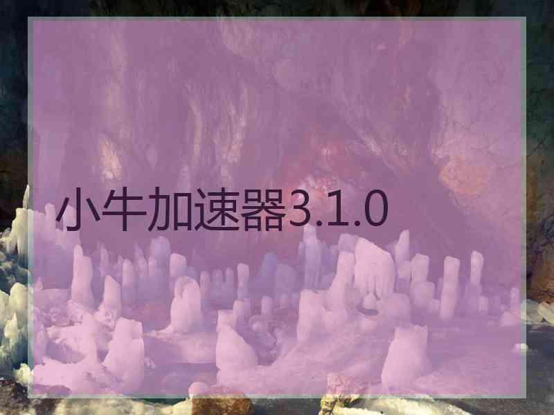 小牛加速器3.1.0