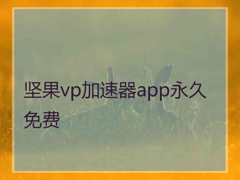 坚果vp加速器app永久免费