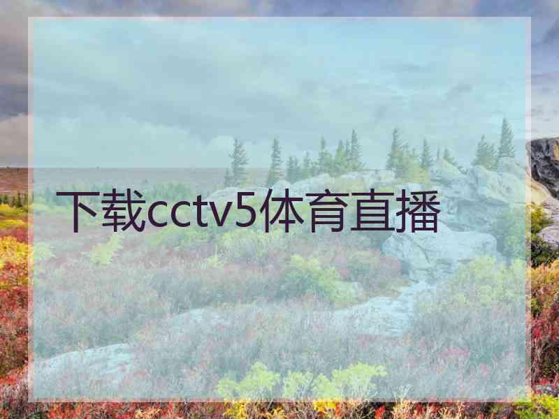 下载cctv5体育直播