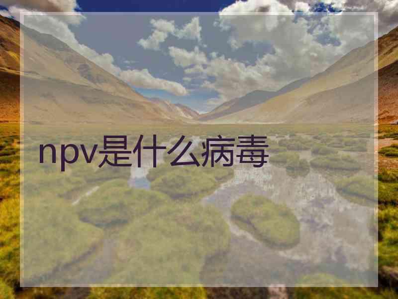 npv是什么病毒