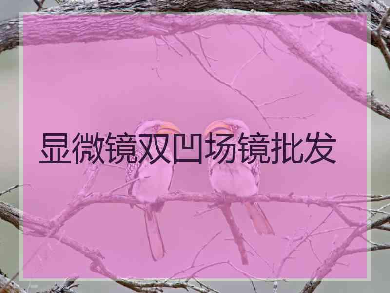 显微镜双凹场镜批发