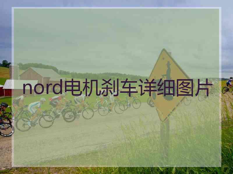 nord电机刹车详细图片