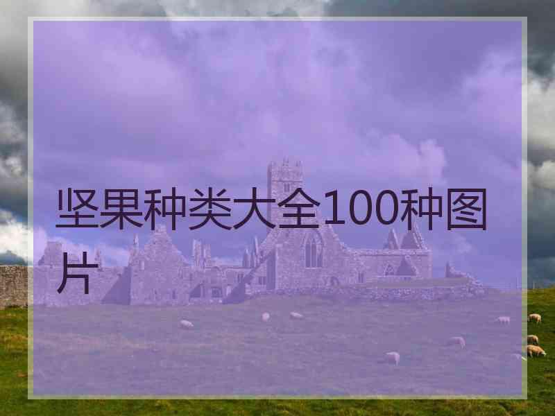 坚果种类大全100种图片