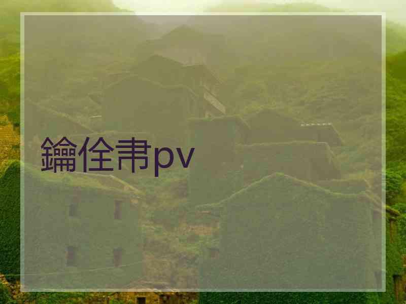 鑰佺帇pv