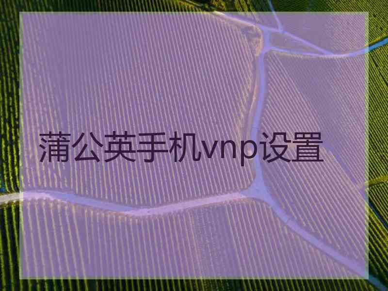 蒲公英手机vnp设置