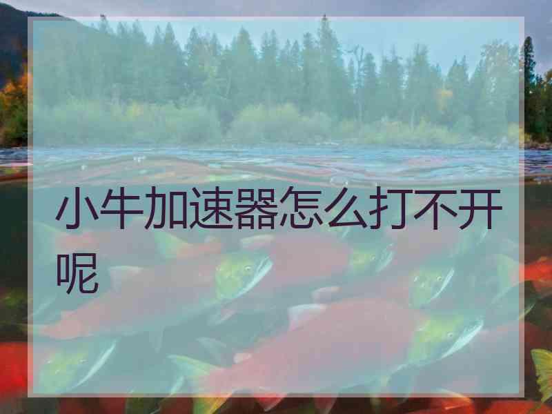 小牛加速器怎么打不开呢