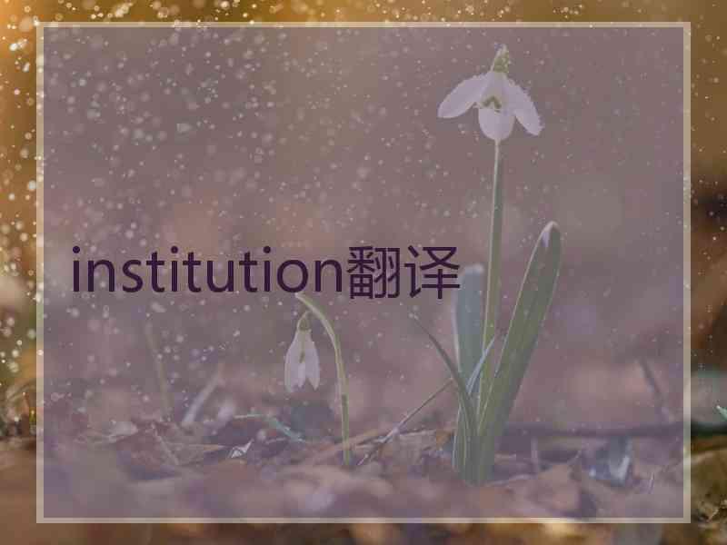 institution翻译