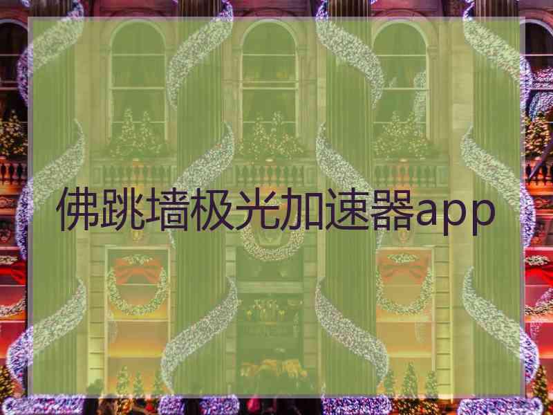 佛跳墙极光加速器app