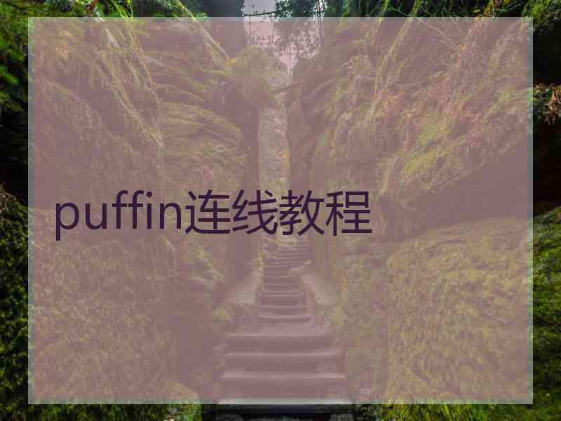 puffin连线教程