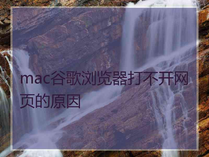 mac谷歌浏览器打不开网页的原因