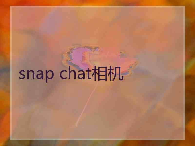 snap chat相机