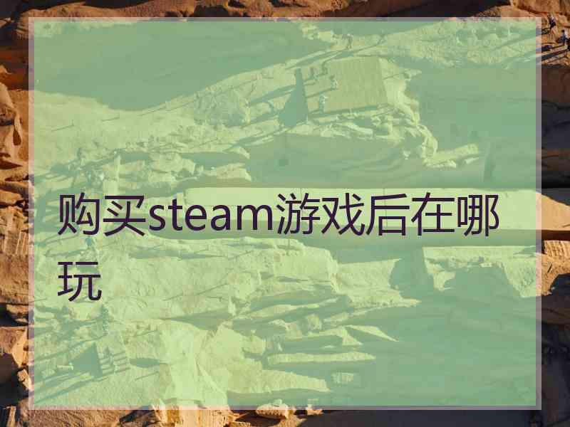 购买steam游戏后在哪玩