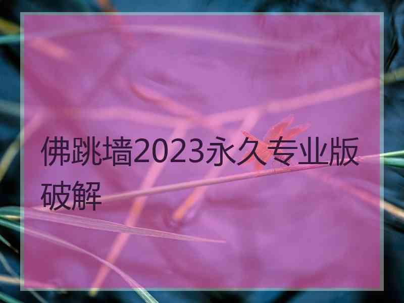 佛跳墙2023永久专业版破解