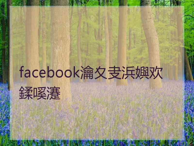 facebook瀹夊叏浜嬩欢鍒嗘瀽