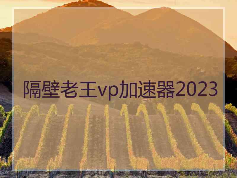 隔壁老王vp加速器2023