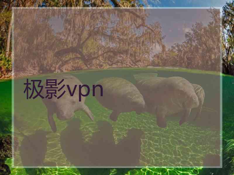 极影vpn