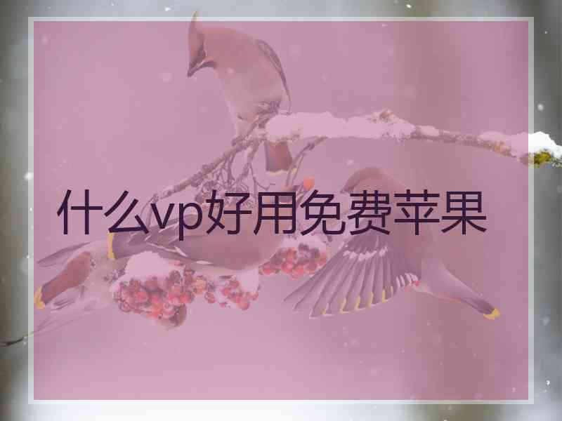 什么vp好用免费苹果