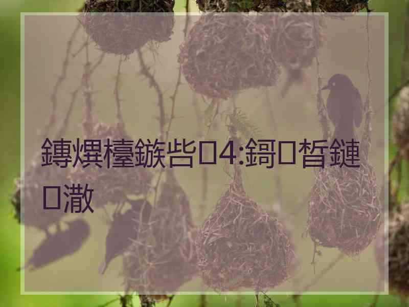 鏄熼檯鏃呰4:鎶㈡晳鏈潵