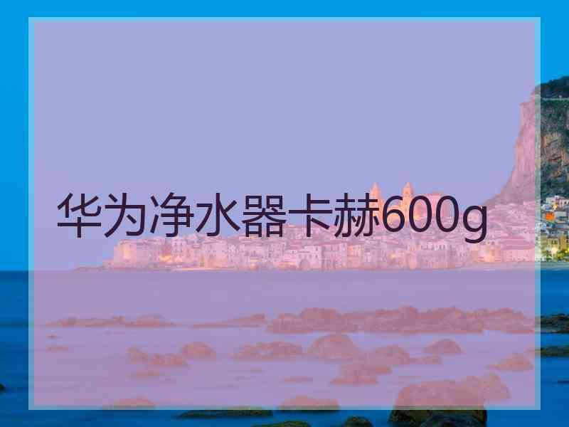 华为净水器卡赫600g