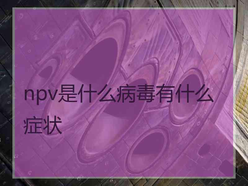 npv是什么病毒有什么症状