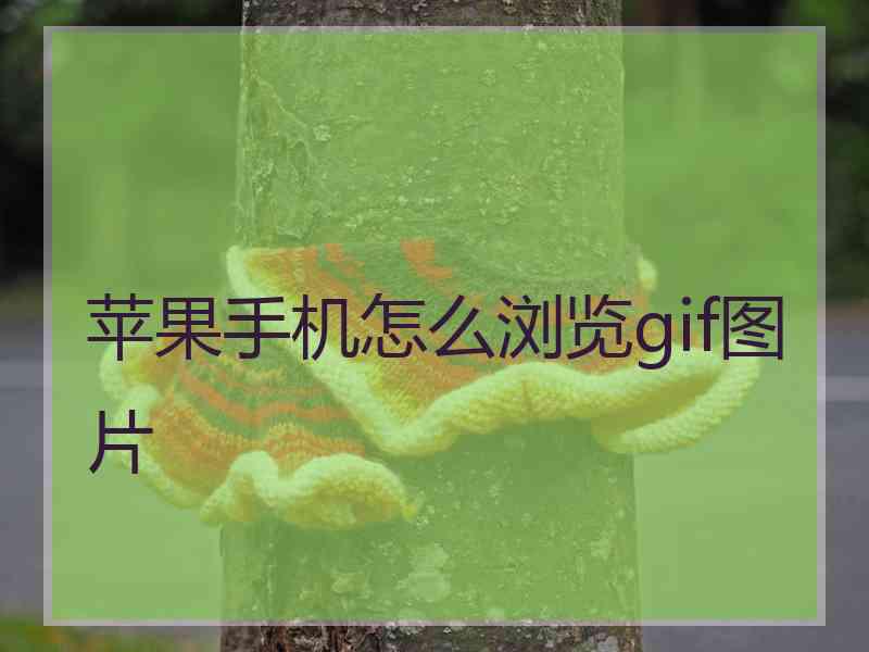 苹果手机怎么浏览gif图片