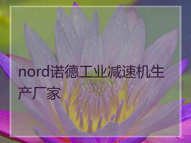 nord诺德工业减速机生产厂家