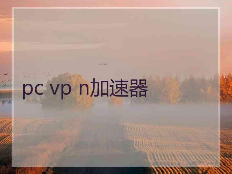 pc vp n加速器