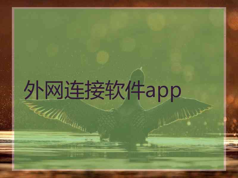 外网连接软件app