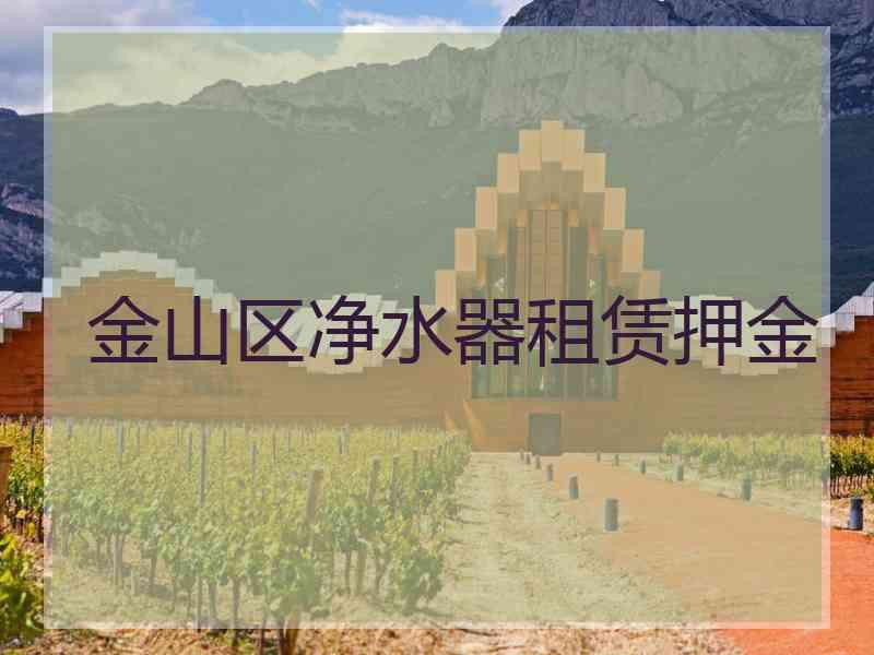 金山区净水器租赁押金