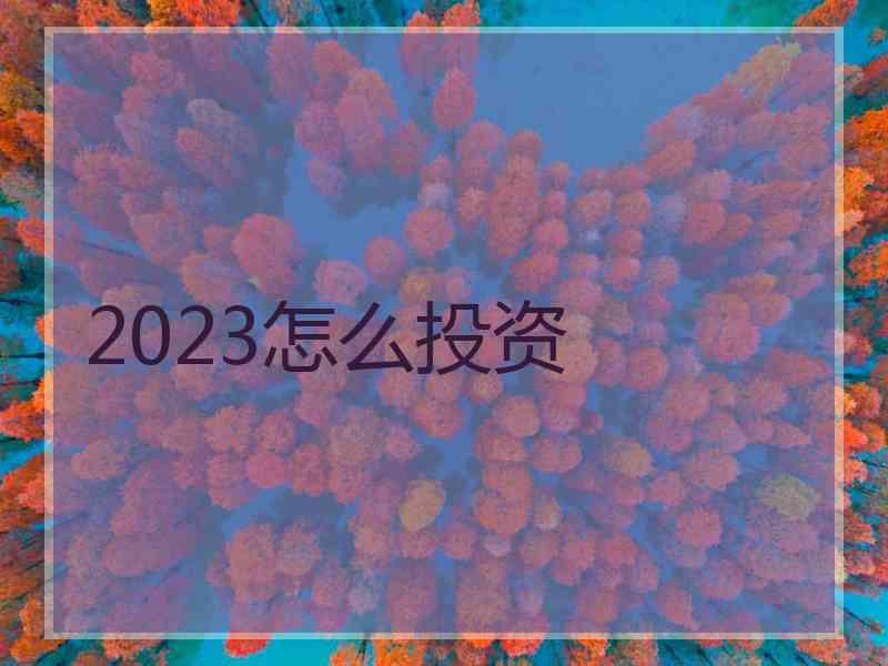 2023怎么投资