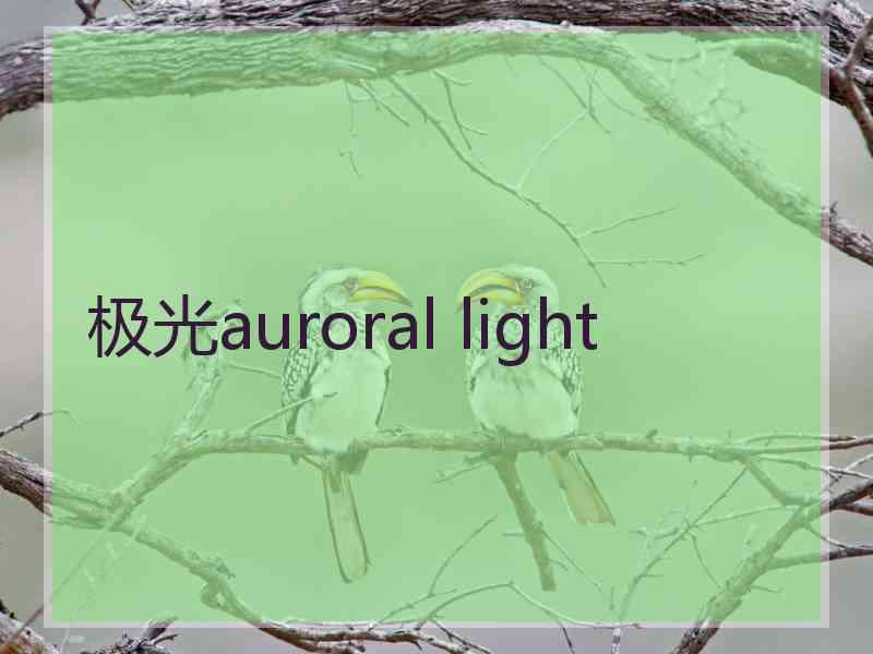 极光auroral light