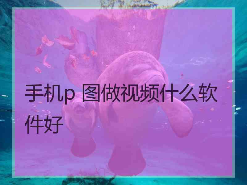 手机p 图做视频什么软件好