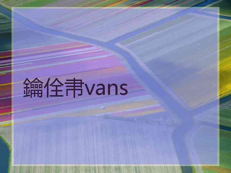 鑰佺帇vans