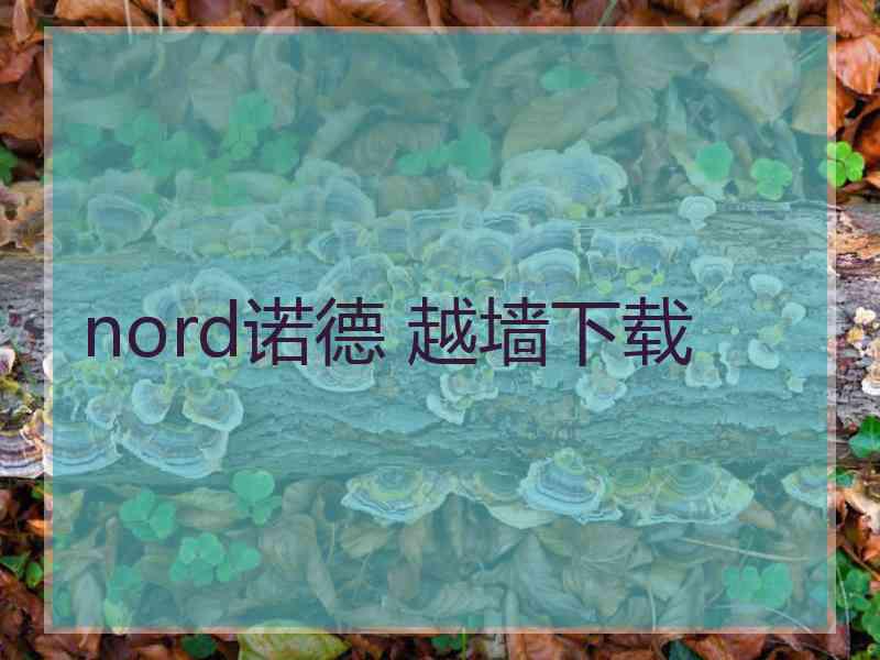 nord诺德 越墙下载