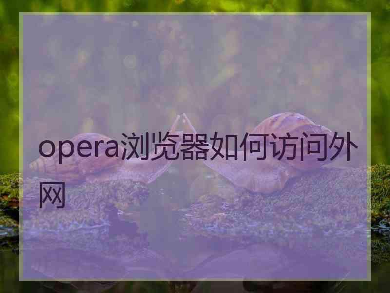 opera浏览器如何访问外网