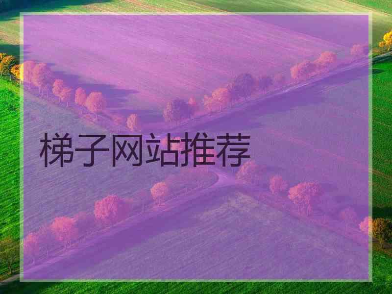 梯子网站推荐