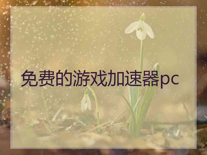 免费的游戏加速器pc