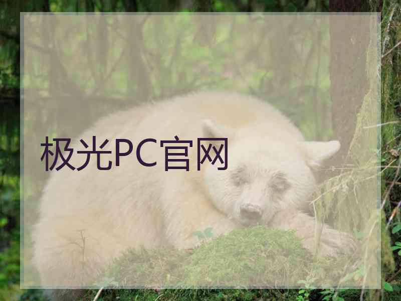 极光PC官网