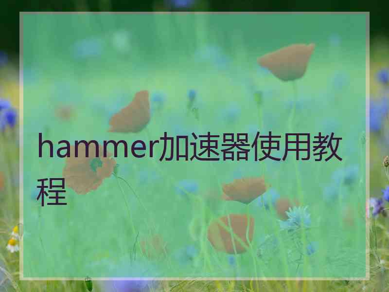 hammer加速器使用教程