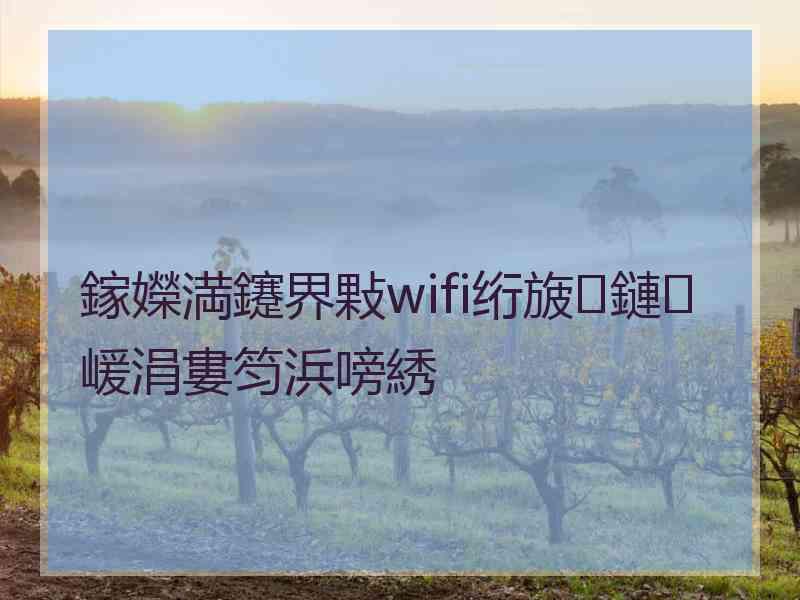 鎵嬫満鑳界敤wifi绗旇鏈嵈涓婁笉浜嗙綉