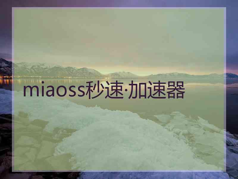 miaoss秒速·加速器