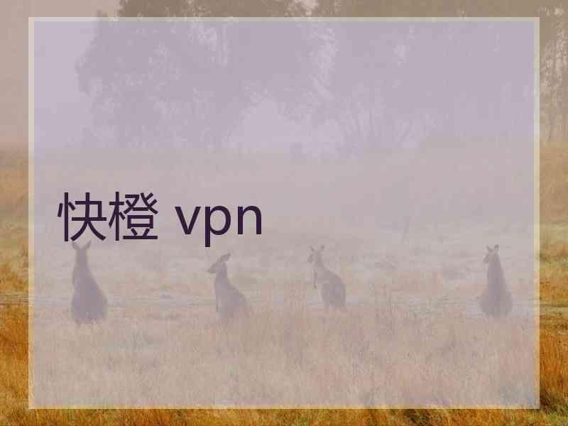 快橙 vpn