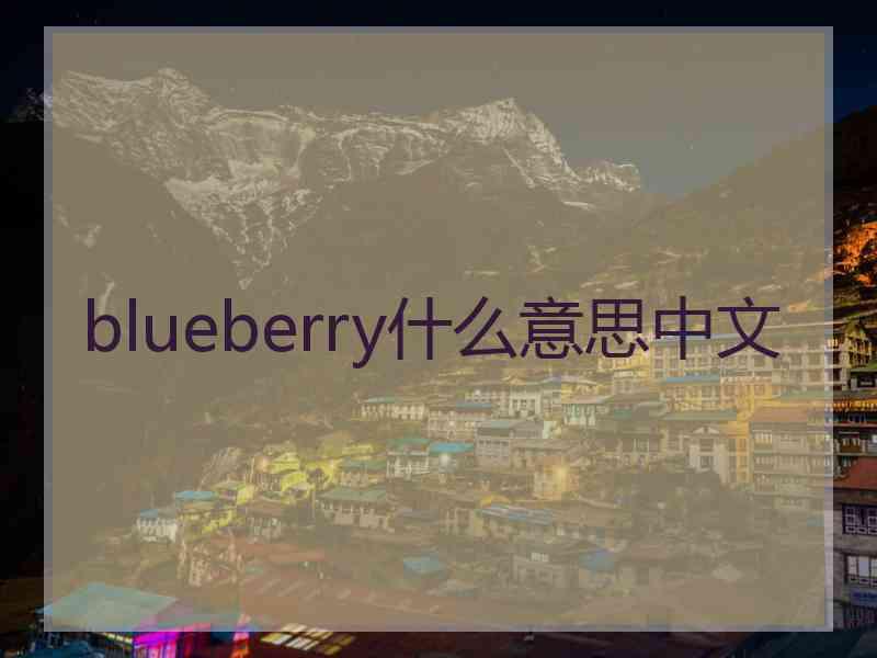 blueberry什么意思中文