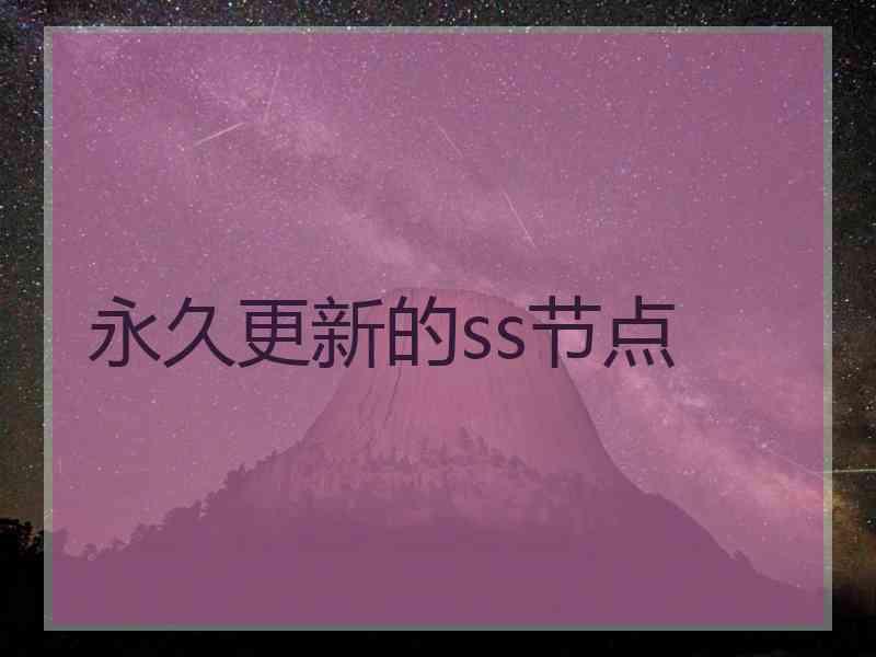 永久更新的ss节点